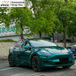 TPU Parrot Green